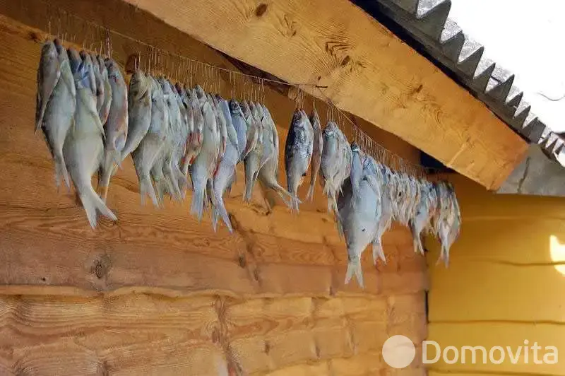 Аренда коттеджа Набережная. Рай рыбака на сутки в Свире ул. Набережная, д. 36 , 100BYN, код 1301 - фото 4