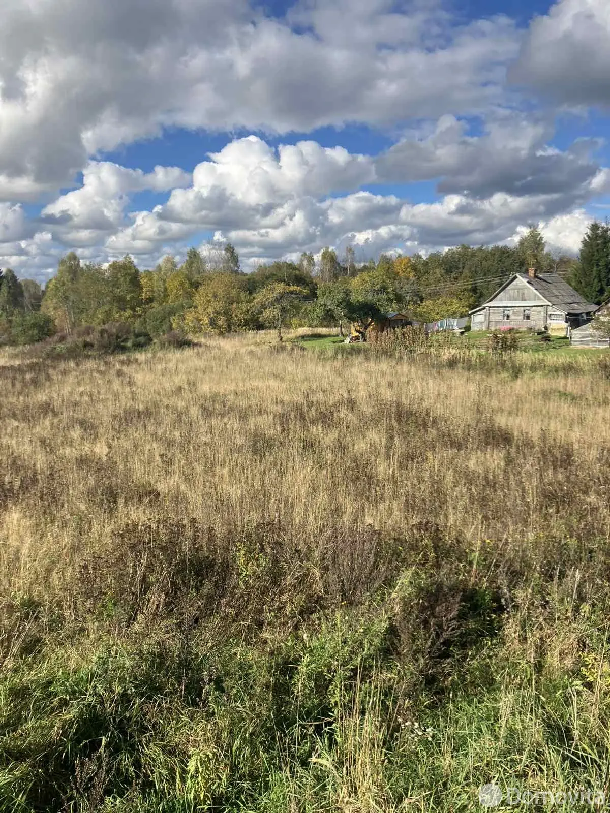 Купить земельный участок, 23 сотки, Гольница, Витебская область, 5500USD, код 571124 - фото 13