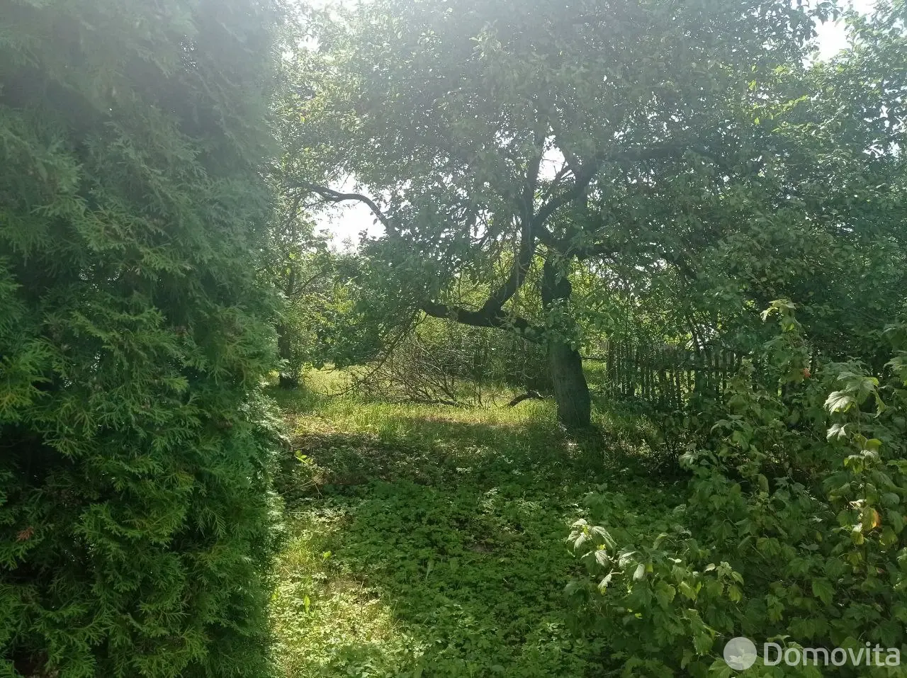 дача, Борки, ул. Трудовая, д. 18 