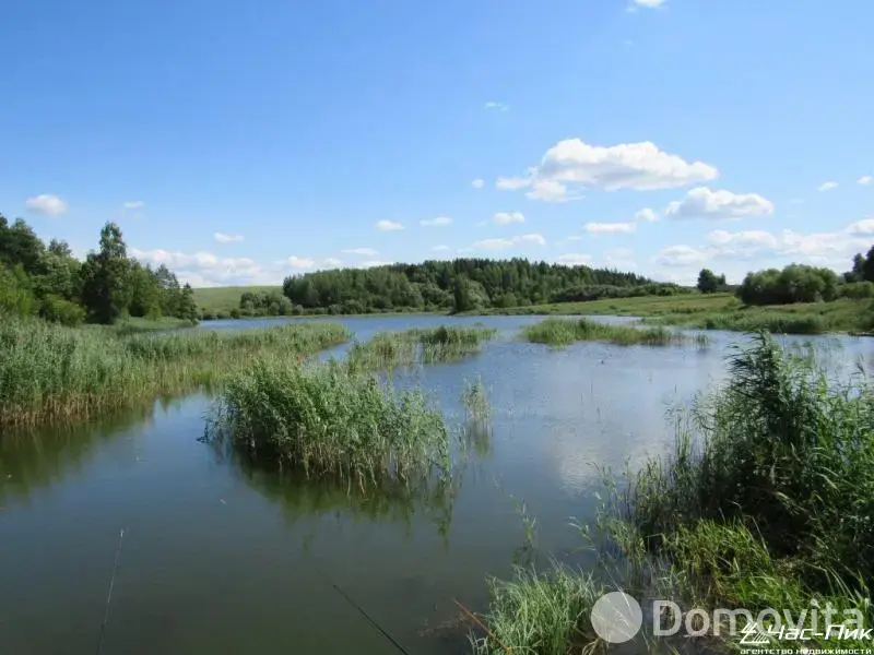 Купить земельный участок, 87 соток, Тадулино, Минская область, 90000USD, код 571510 - фото 31