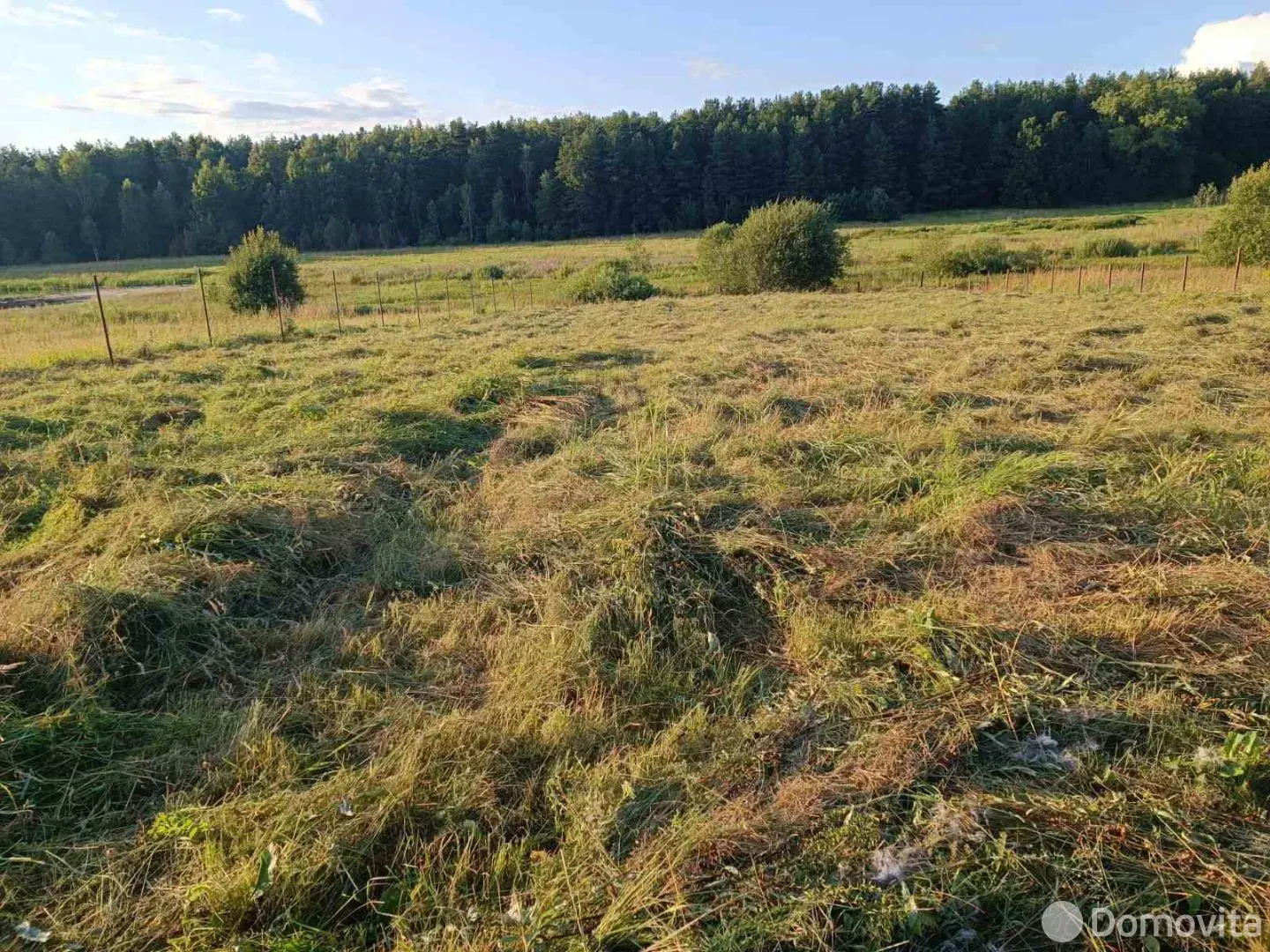 участок, Чирвоная Заря, 