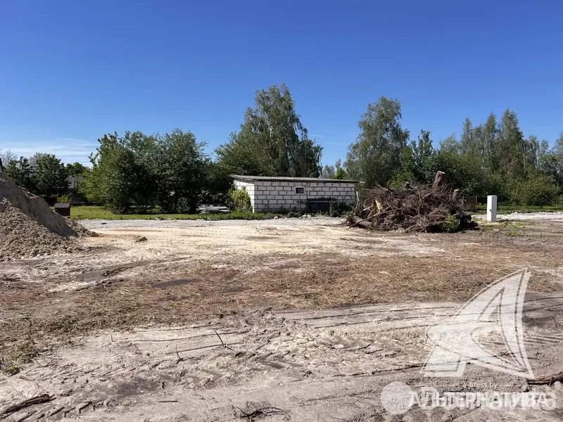 продажа дома, Большие Щитники, 