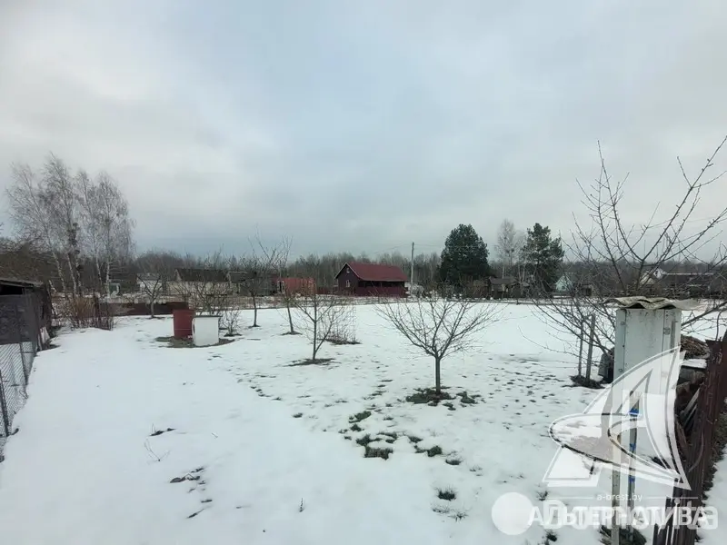 Стоимость продажи участка, Золотой корень,