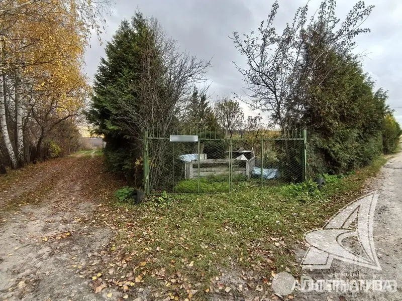 Продажа 1-этажной дачи в Машиностроитель Брестская область, 42000USD, код 184448 - фото 27