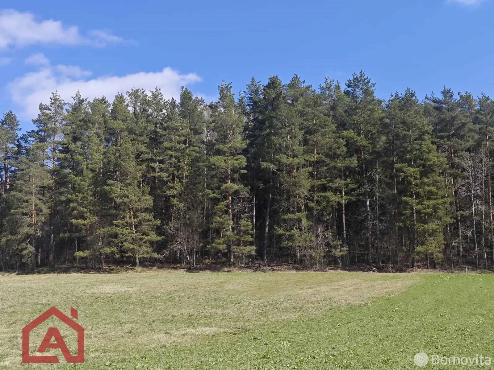 Купить земельный участок, 20.07 соток, Вяча, Минская область, 57000USD, код 571776 - фото 11