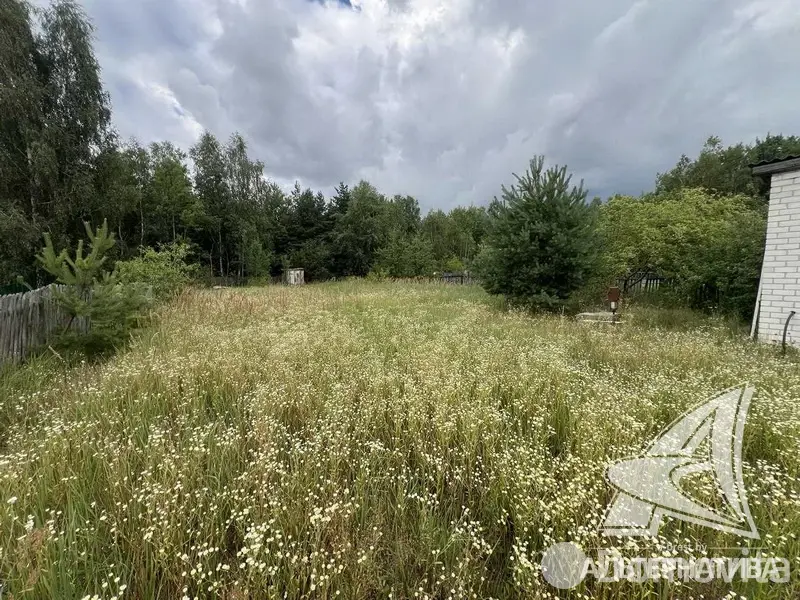 дача, Армеец-3, , стоимость продажи 81 444 р.