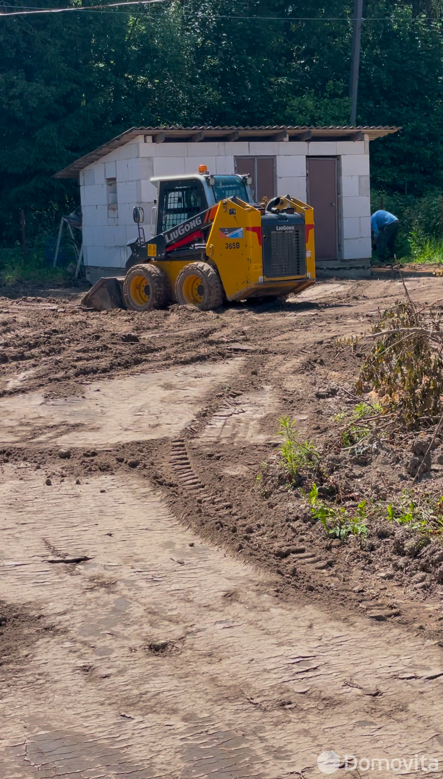 дача, Виола,