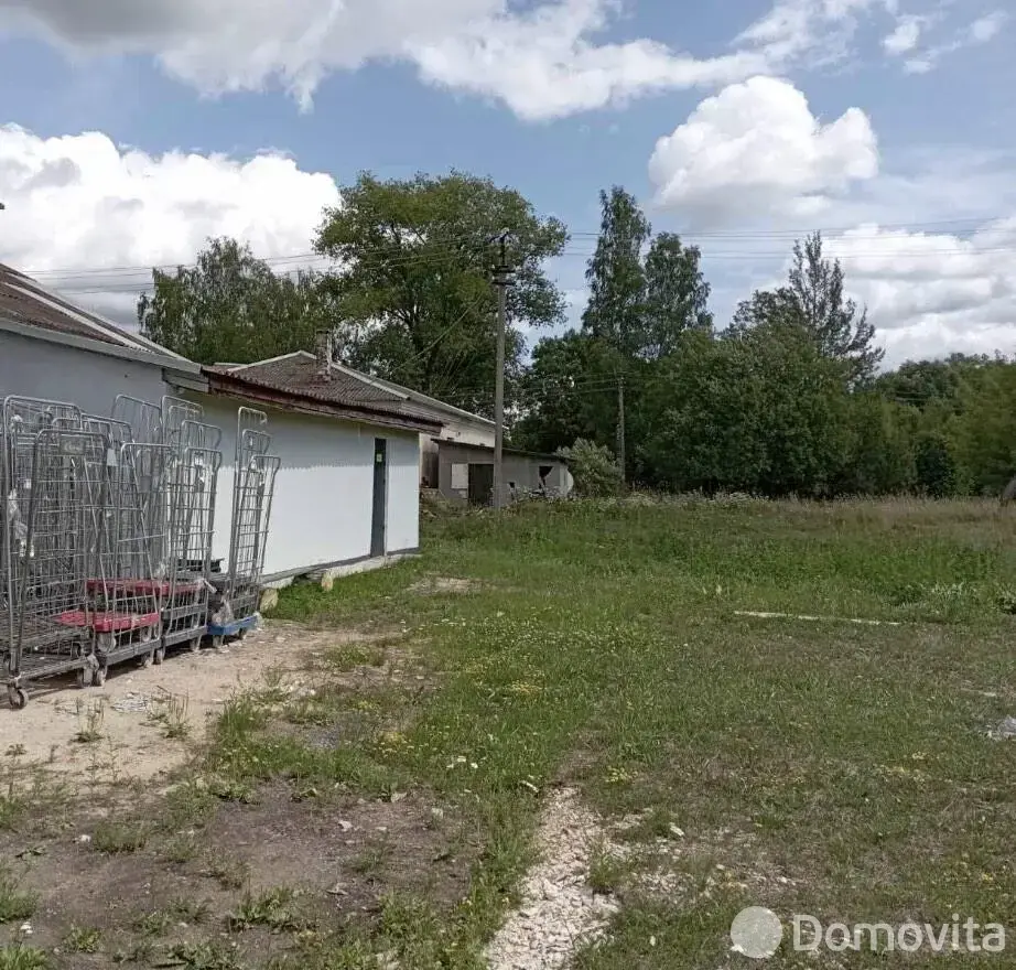 торговый объект, Бигосово, ул. Клубная, д. 28 