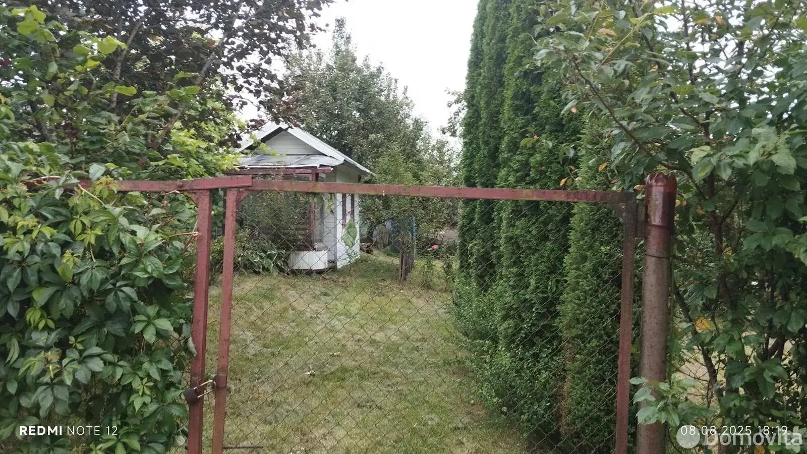 Купить земельный участок, 6.2 соток, Огородник, Минская область, 4500USD, код 569078 - фото 19