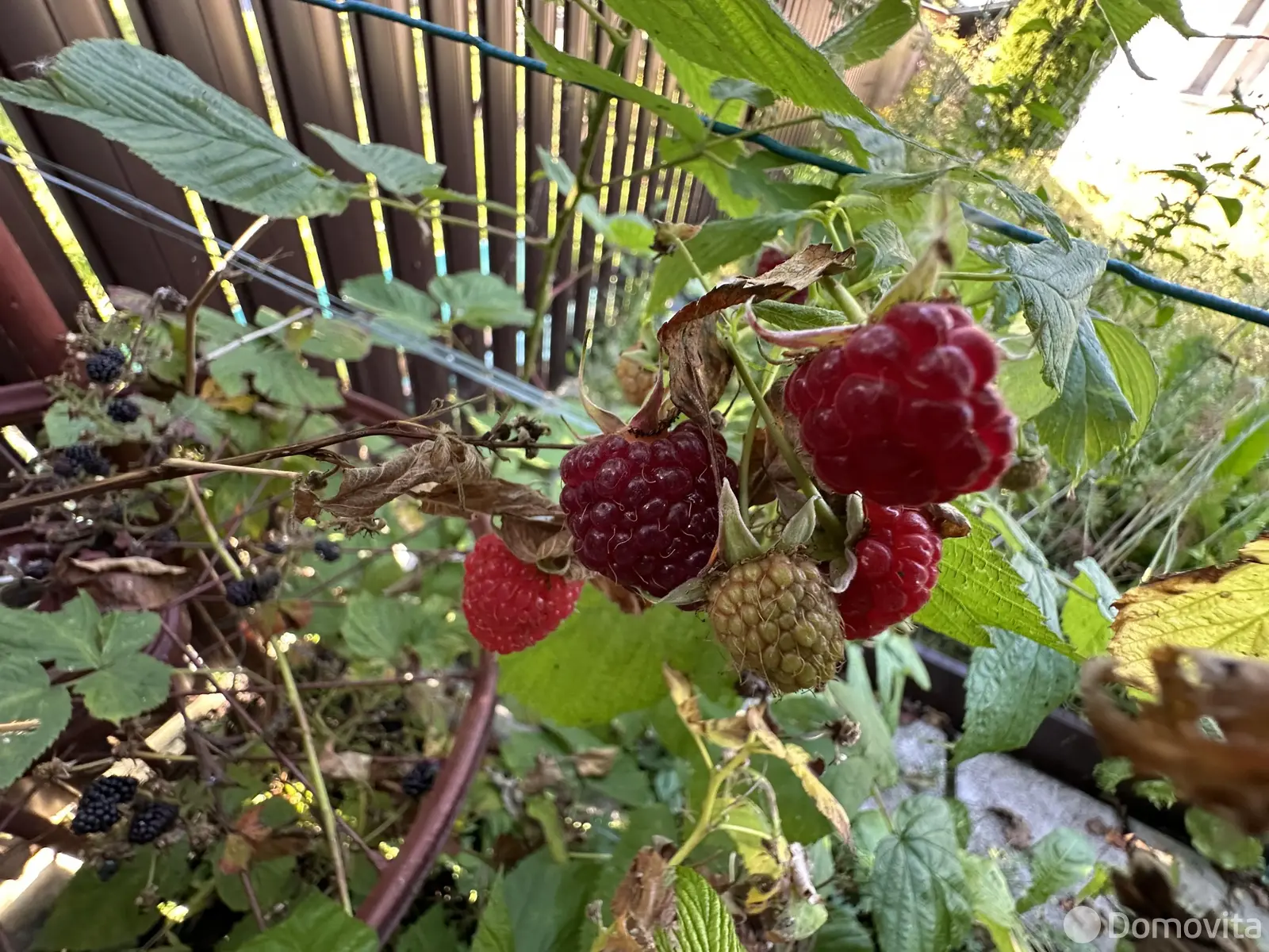 Продажа 2-этажной дачи в Наш Родник Минская область, 27000USD, код 183661 - фото 26