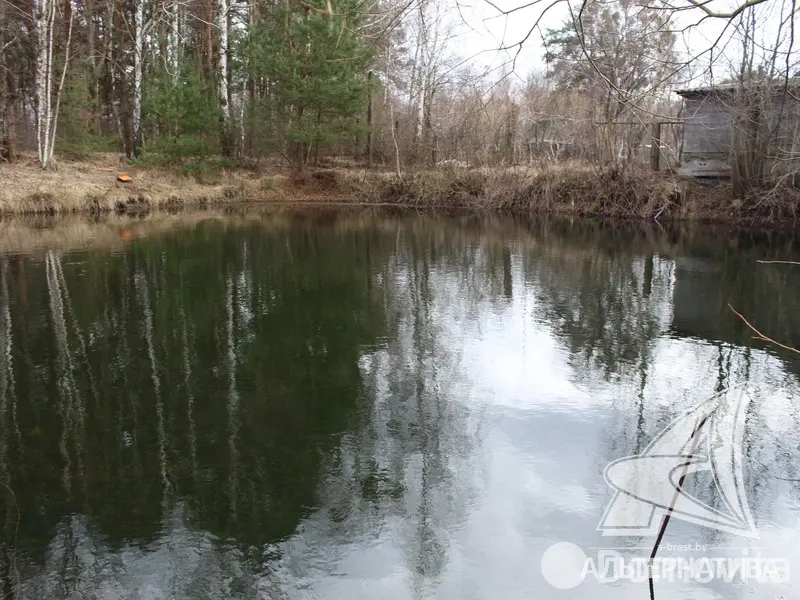 Продажа 2-этажной дачи в Здоровье 2008 Брестская область, 17000USD, код 181271 - фото 21