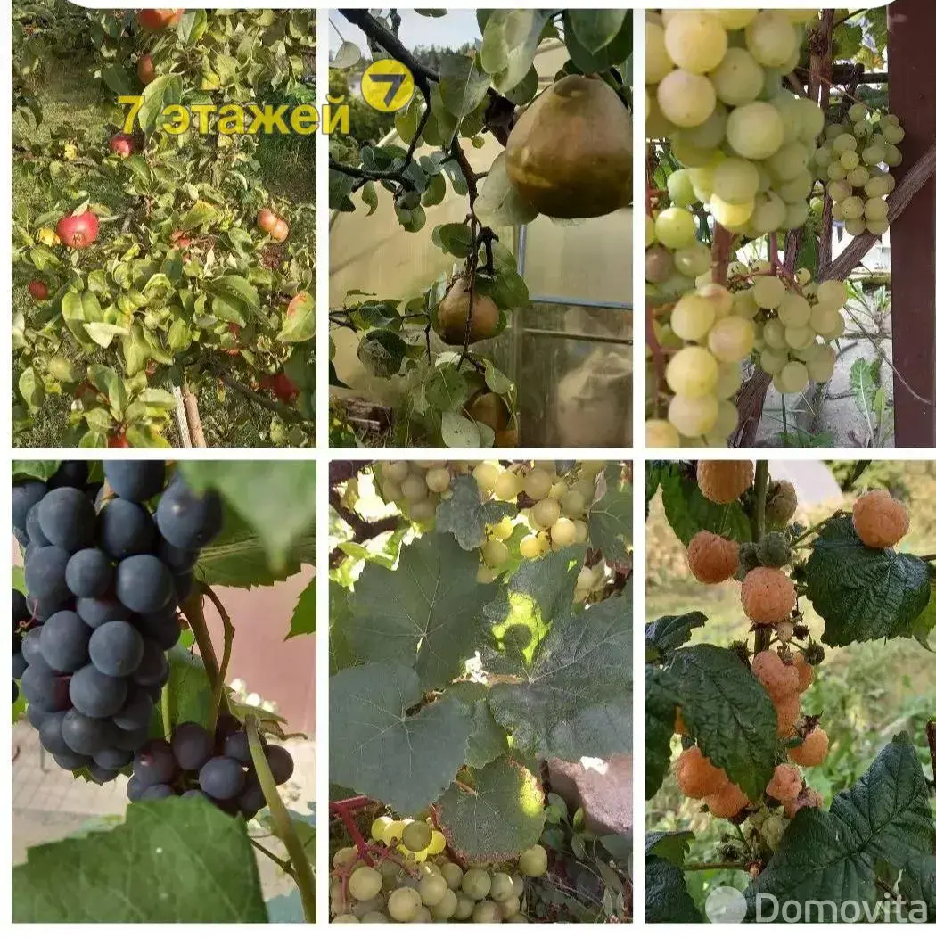 Продажа 1-этажной дачи в Лукоморье Минская область, 39700USD, код 184970 - фото 18