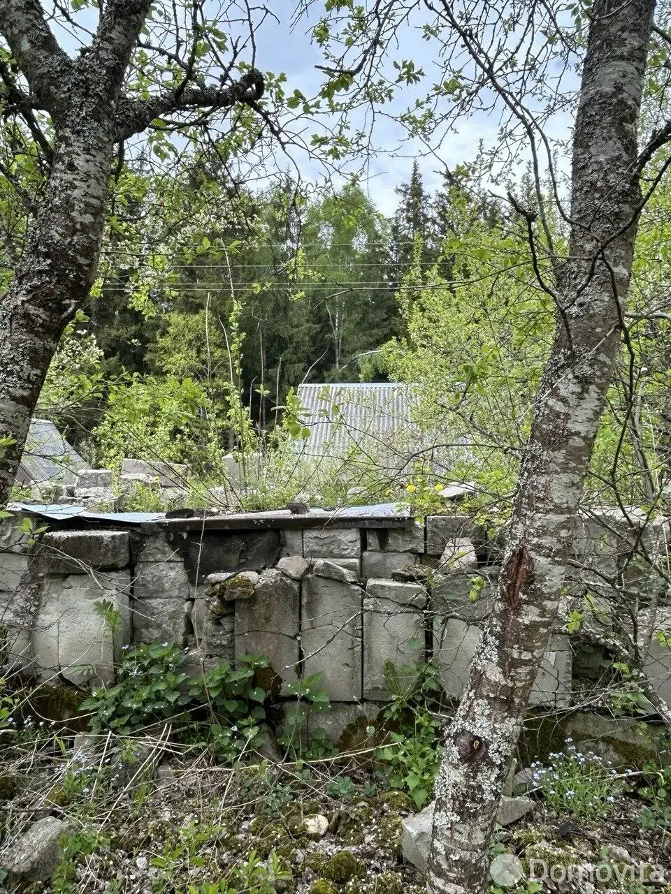 Купить земельный участок, 5.3 соток, Купалинка-1981, Минская область, 33960BYN, код 571972 - фото 11