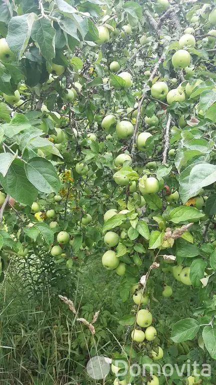 участок, Винорово, ул. Лесная, д. 29 - лучшее предложение