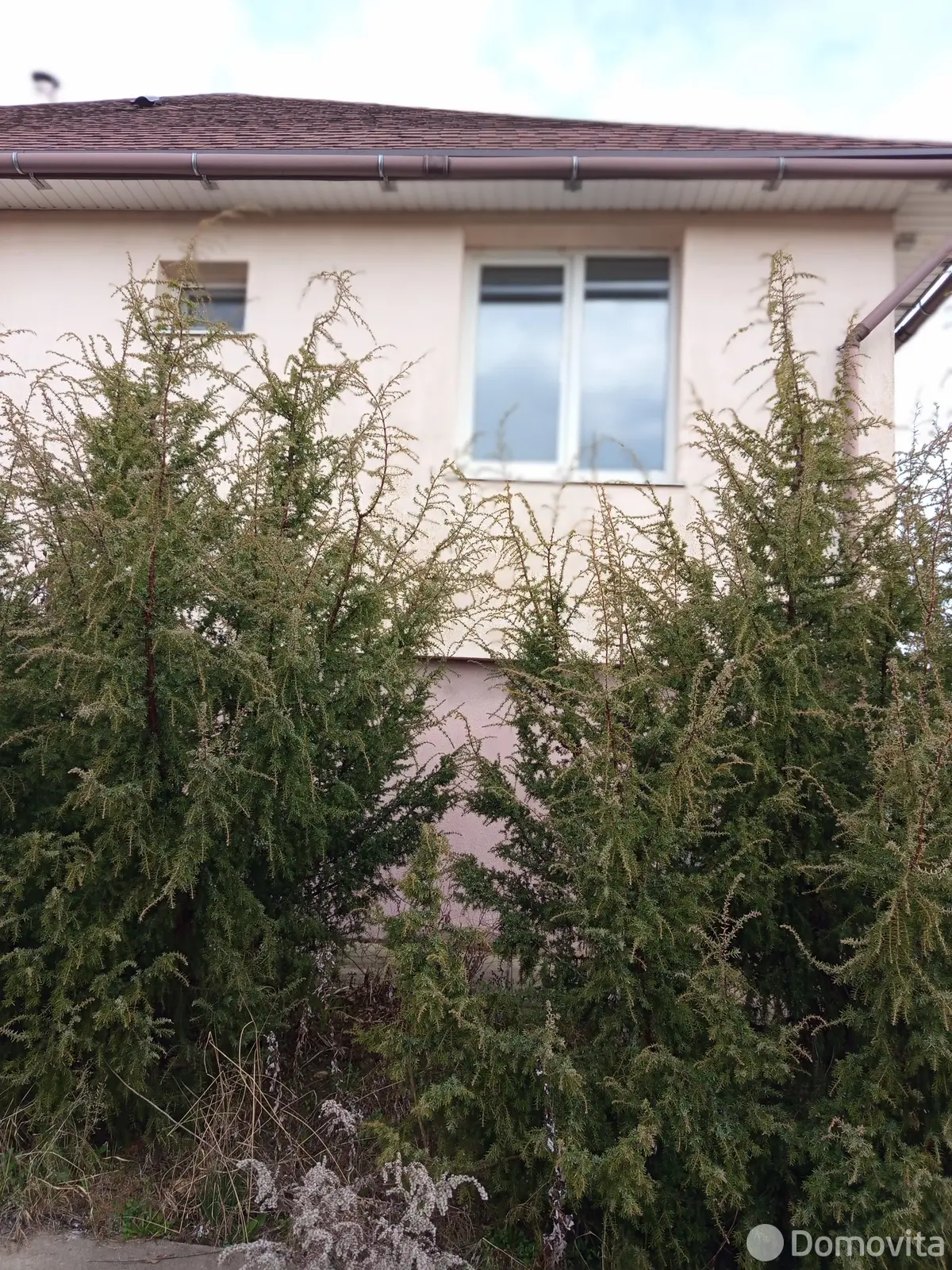 дом, Городнянский Мох, ул. Озерная, д. 33 