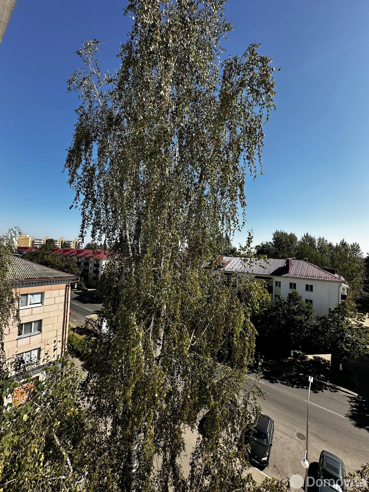 Помещение под сферу услуг в Бобруйске, ул. Октябрьская, д. 149/а, код 2572 - фото 18