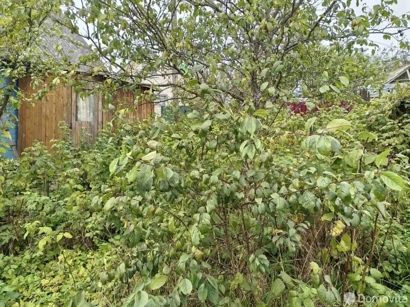 дача, Витебск, ул. Хрустальная, д. 53 без посредников