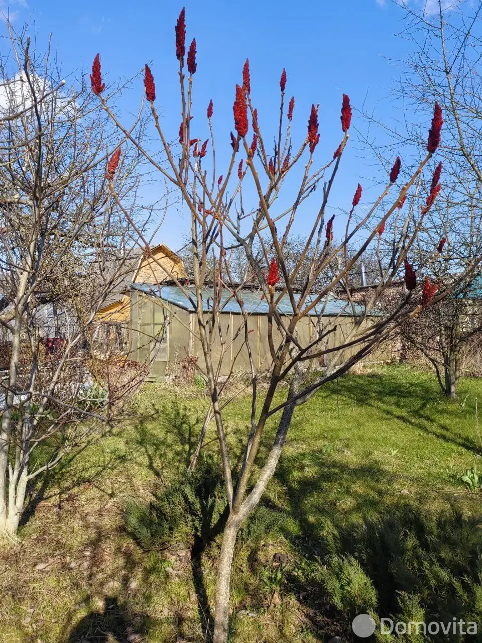 дача, Старое Село, 