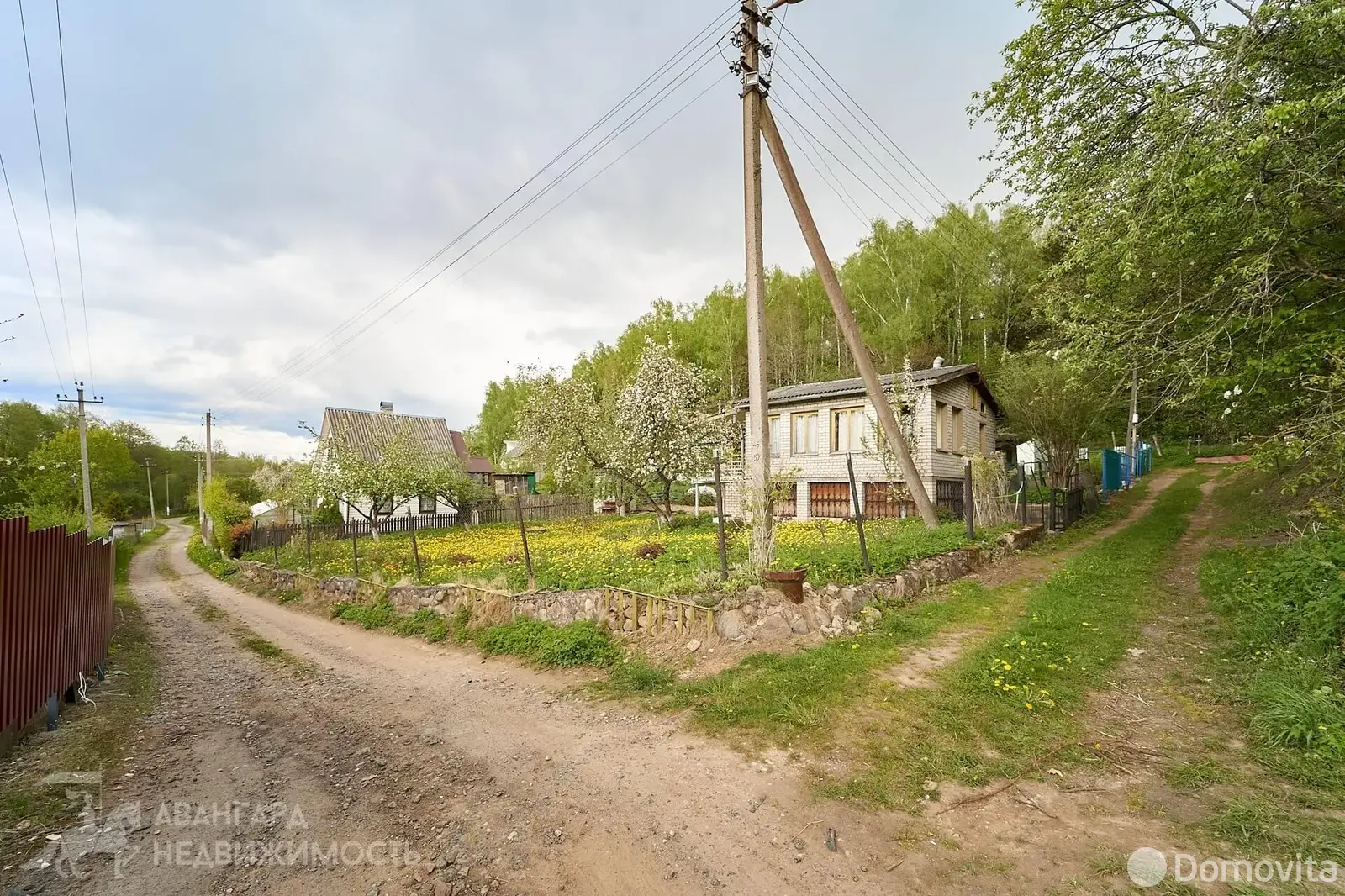 дача, Ромашка Соломореченская, 