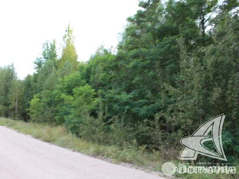 Стоимость продажи участка, Брест,