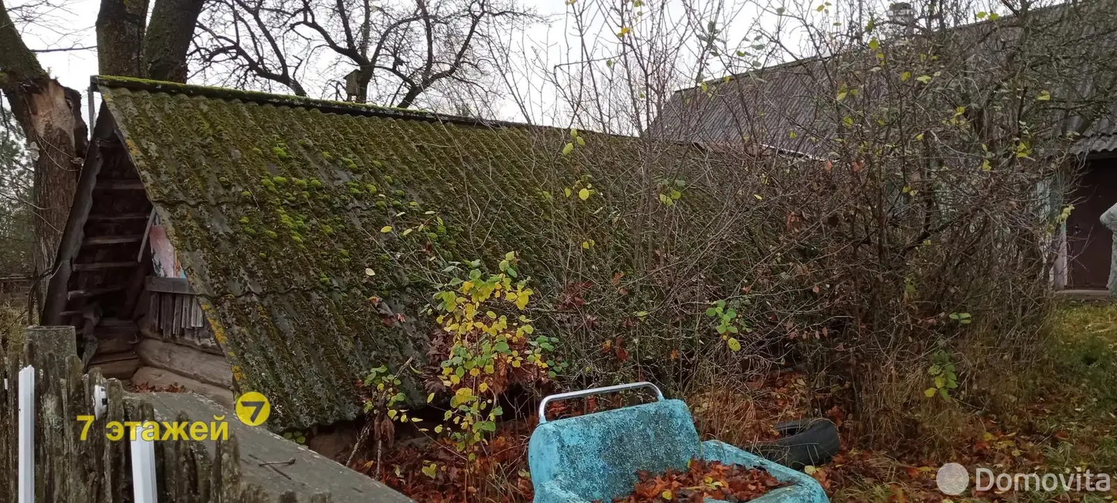 дом, Осовок,