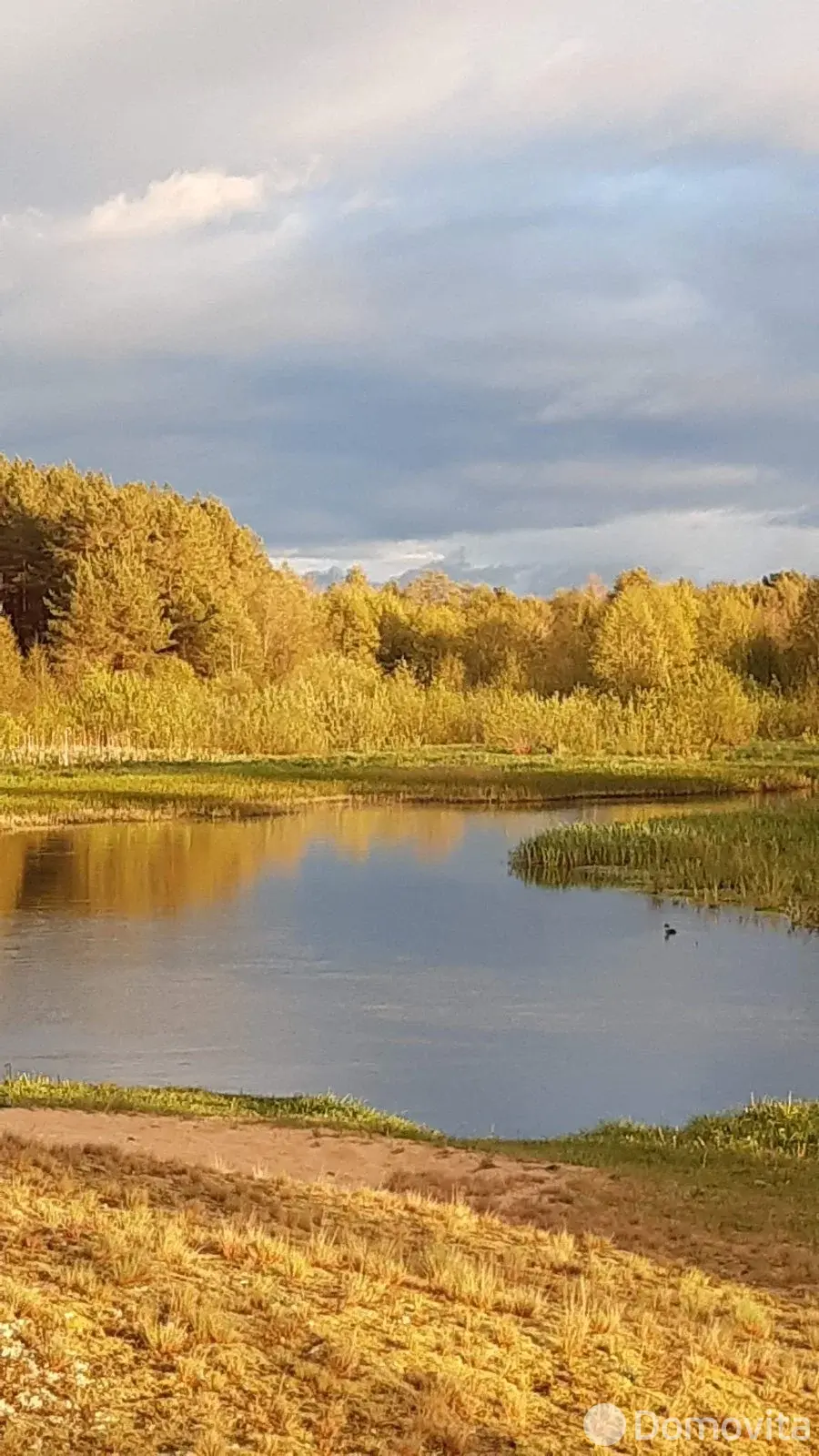 участок, Кумельщина, от собственника