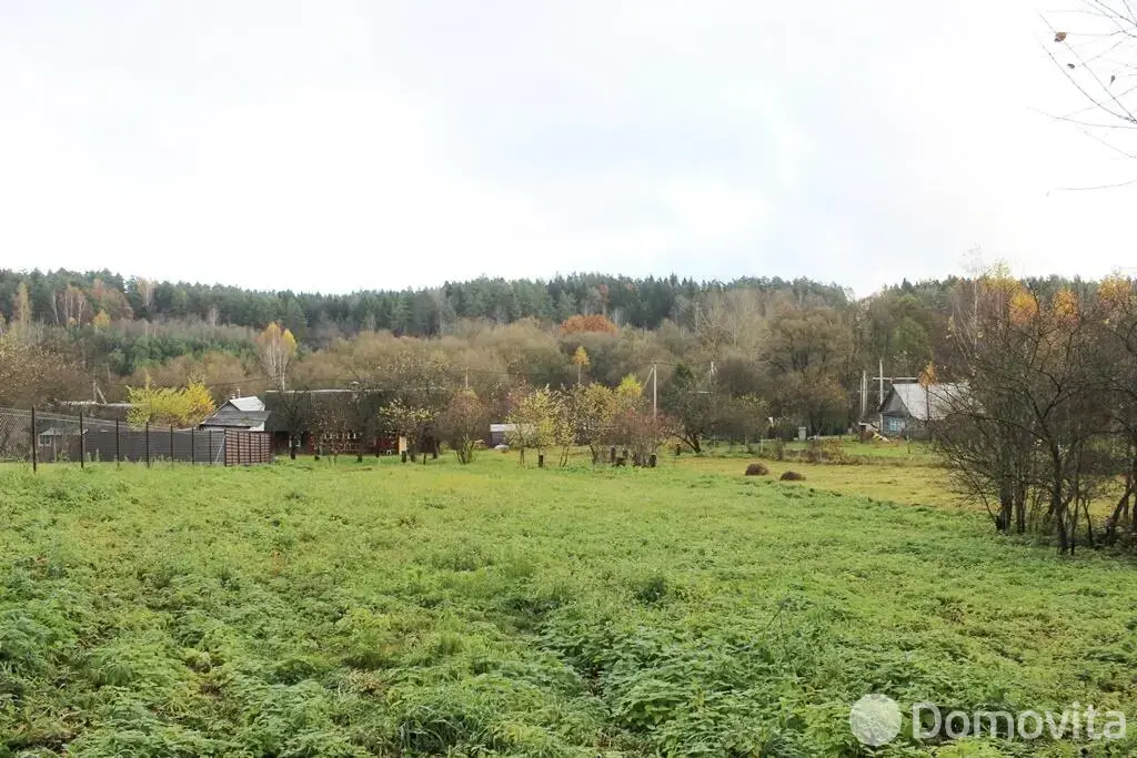 участок, Марковщина, ул. Центральная