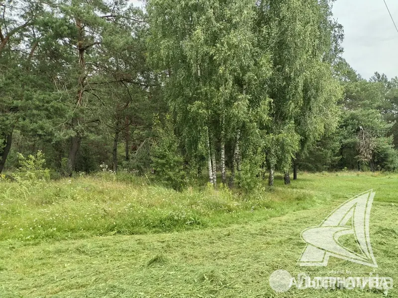 Купить 2-этажную дачу в Лаванда-Каменка Брестская область, 37000USD, код 183770 - фото 13