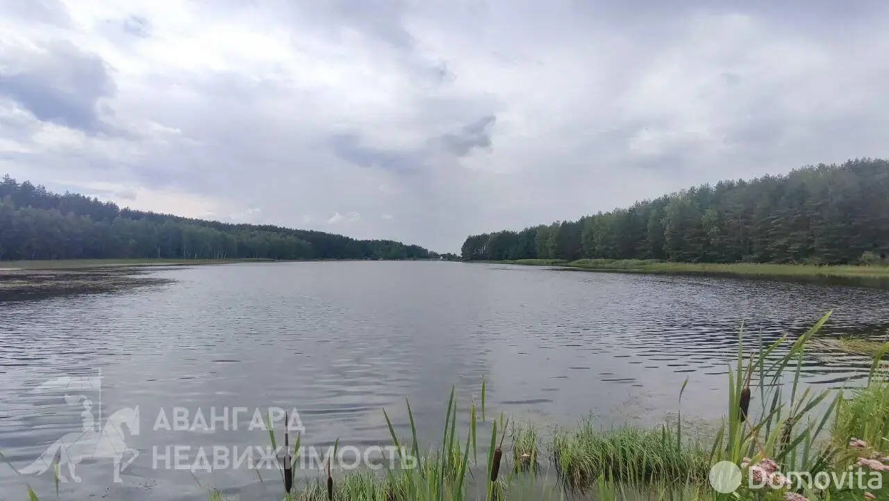 дача, Лесное-Белмедпрепараты, 