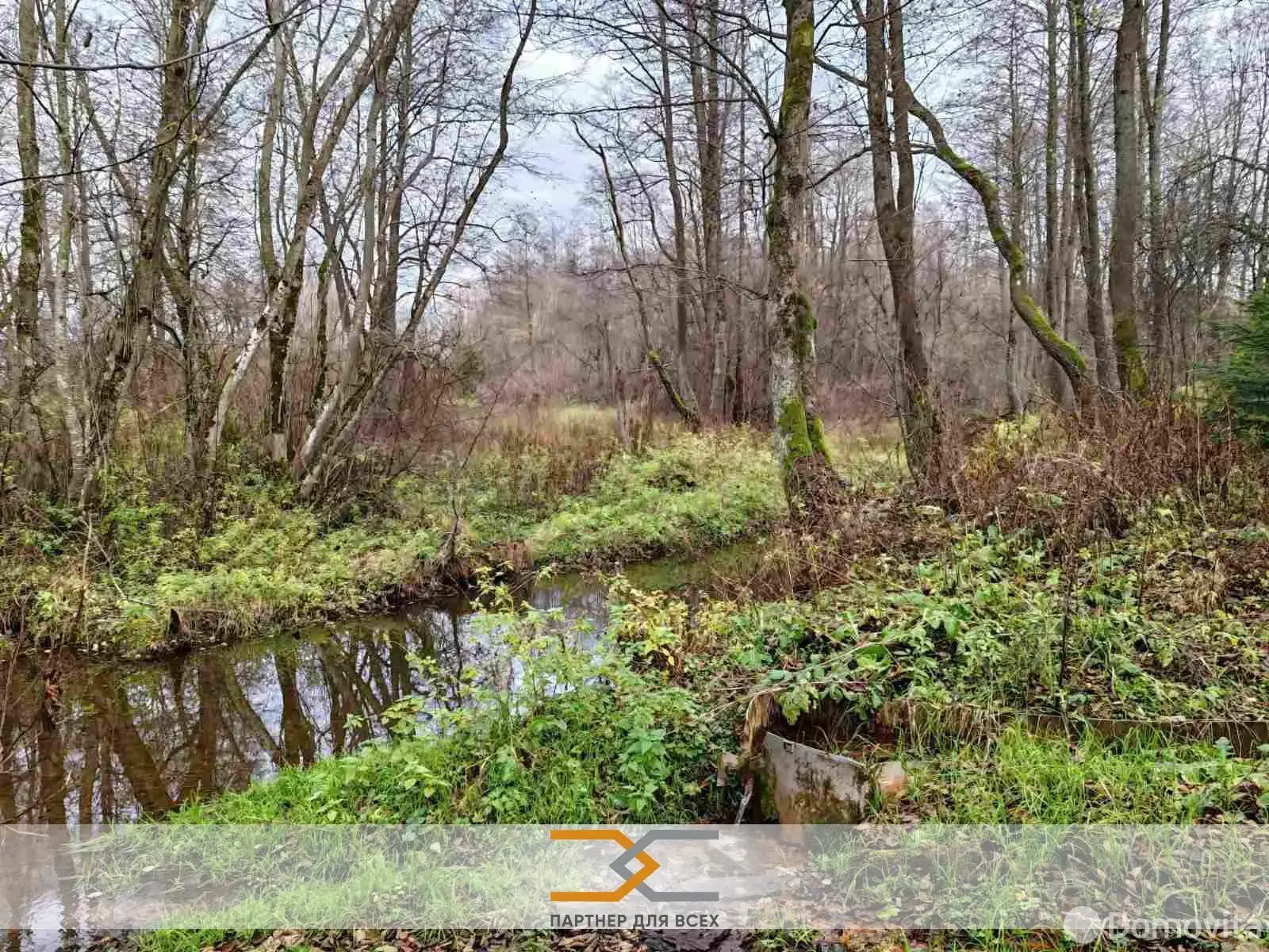 Купить 1-этажную дачу в Ромашка Соломореченская Минская область, 12500USD, код 184511 - фото 21