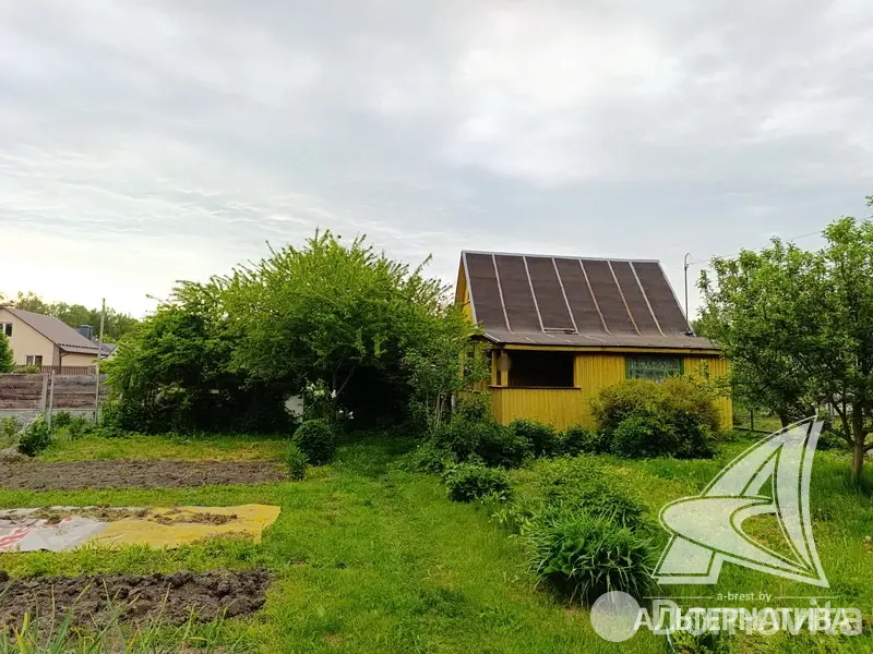участок, Меркурий ТПП,