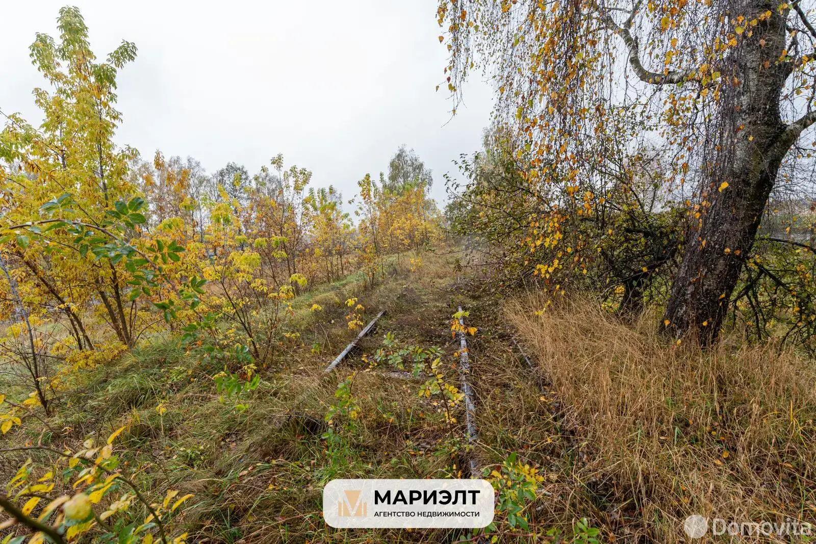 Купить помещение под сферу услуг в Вилейке, ул. Стахановская, д. 215 - фото 37