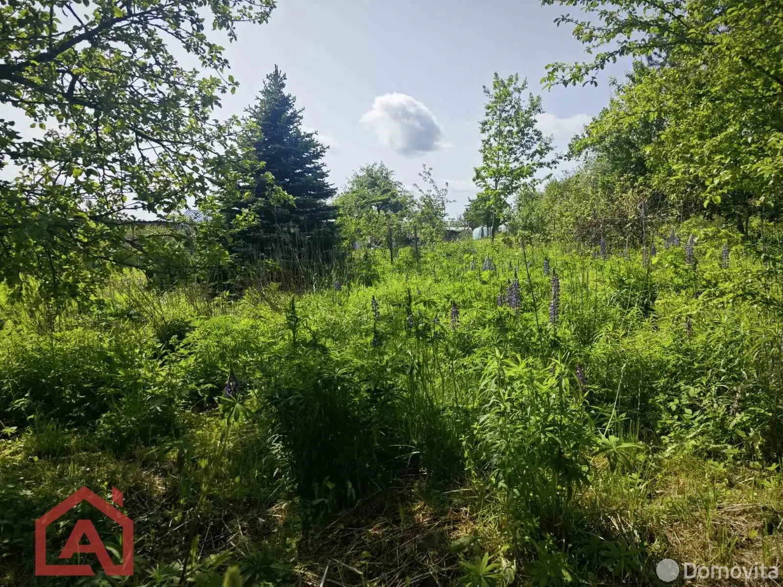 участок, Поляна, 