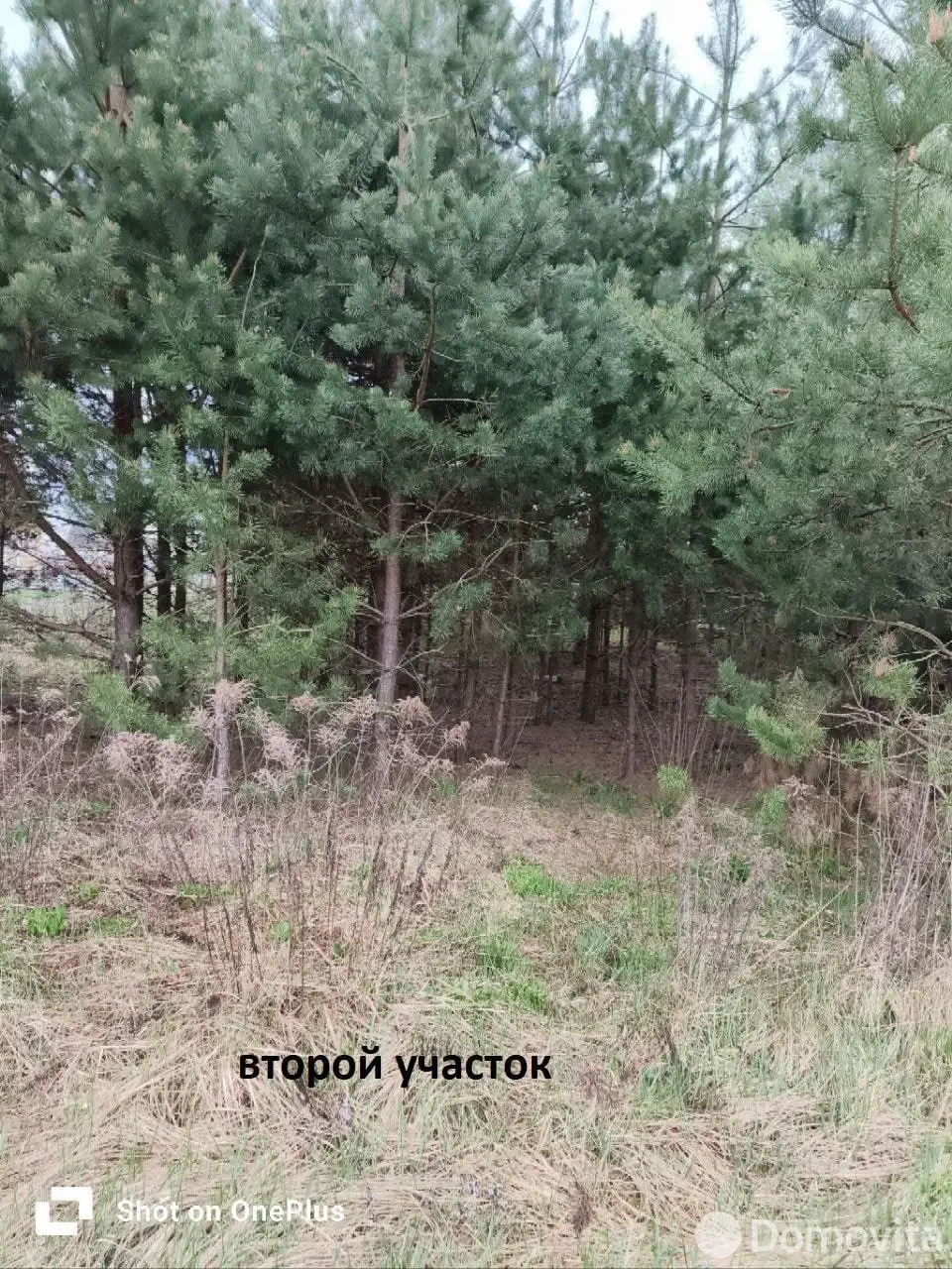 Купить земельный участок, 9 соток, Гранит-91, Минская область, 1000USD, код 570902 - фото 16