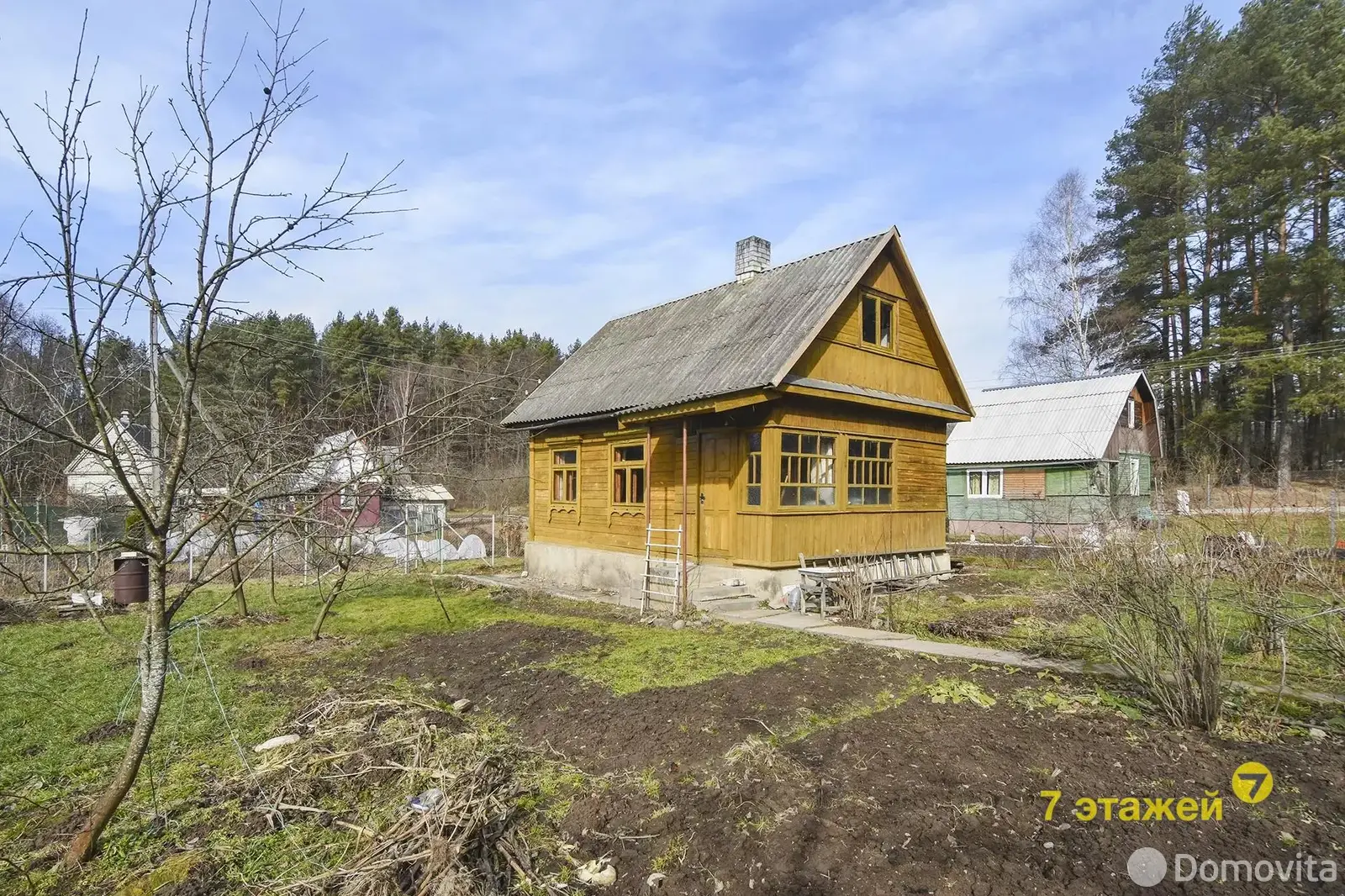 Продажа 1-этажной дачи в Минская область, 9999USD, код 181740 - фото 15