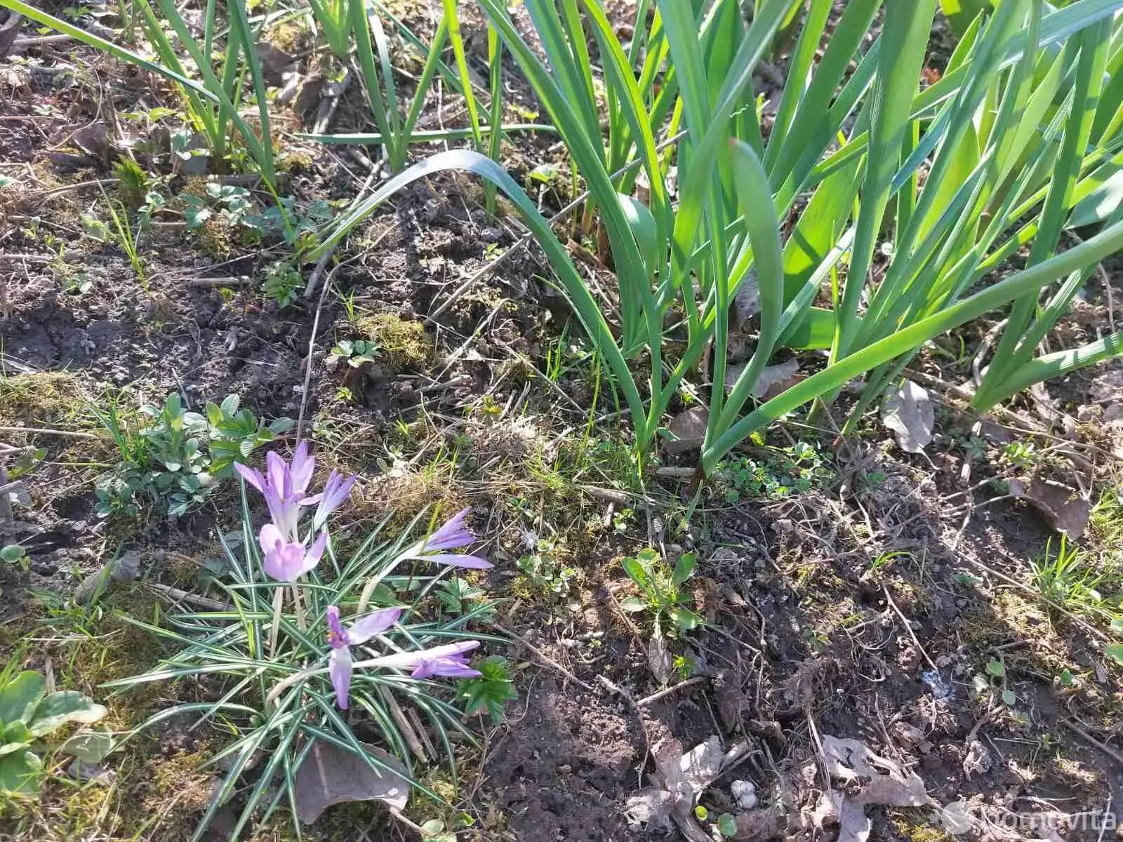 Продажа 2-этажной дачи в Вишневка-2005 Минская область, 21000USD, код 179976 - фото 33