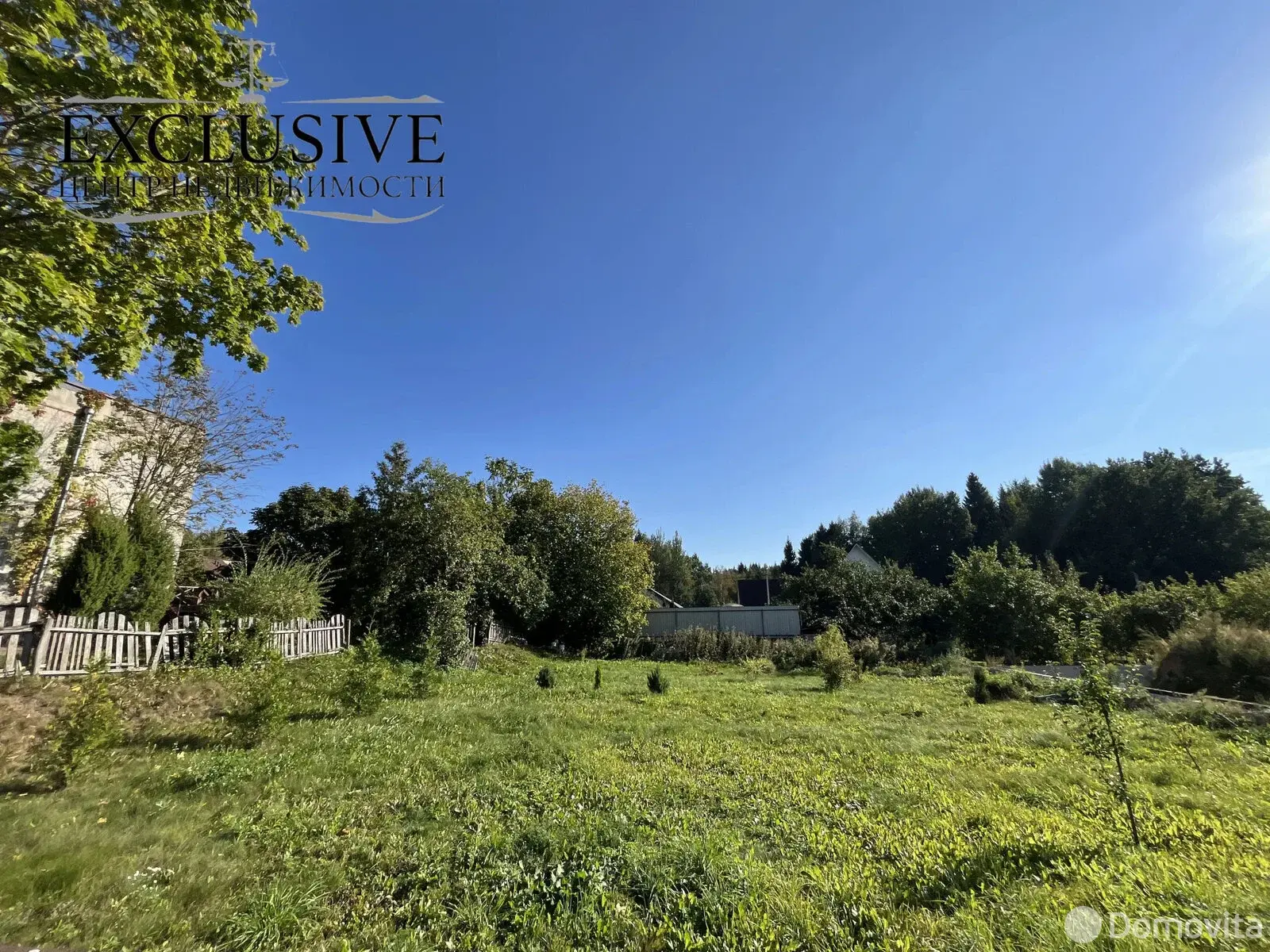 дача, Береза, 