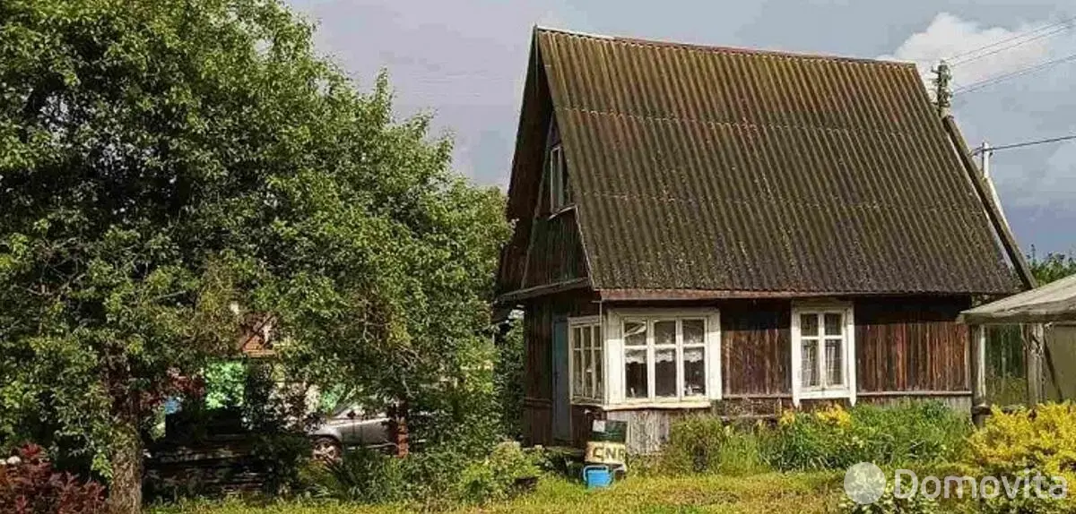 дача, Цветовод-2008, 