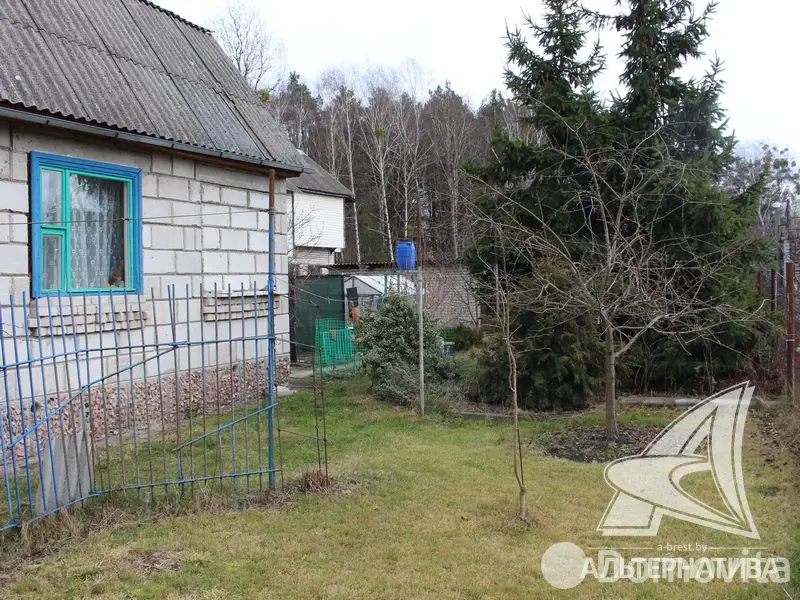 Продажа 2-этажной дачи в Здоровье 2008 Брестская область, 17000USD, код 181271 - фото 14