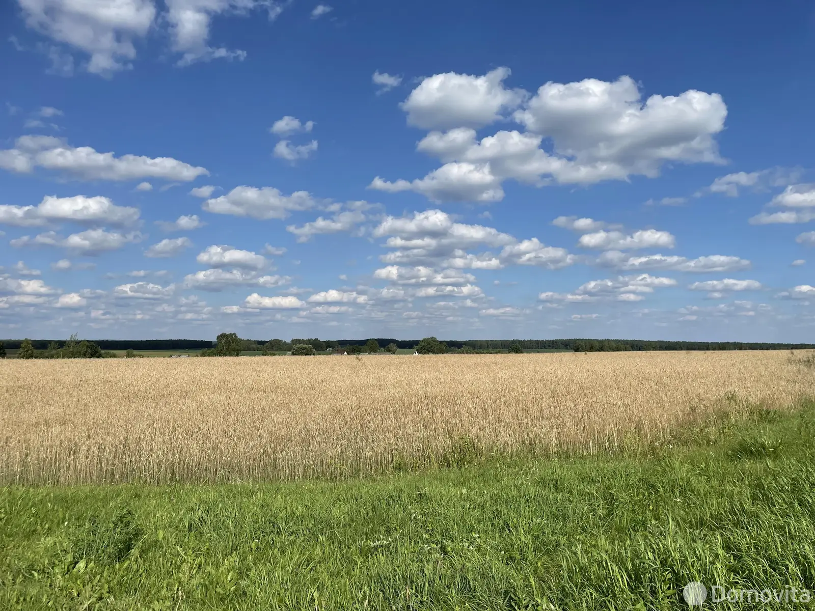 Купить земельный участок, 28 соток, Тесновая 2, Минская область, 11000USD, код 570810 - фото 14