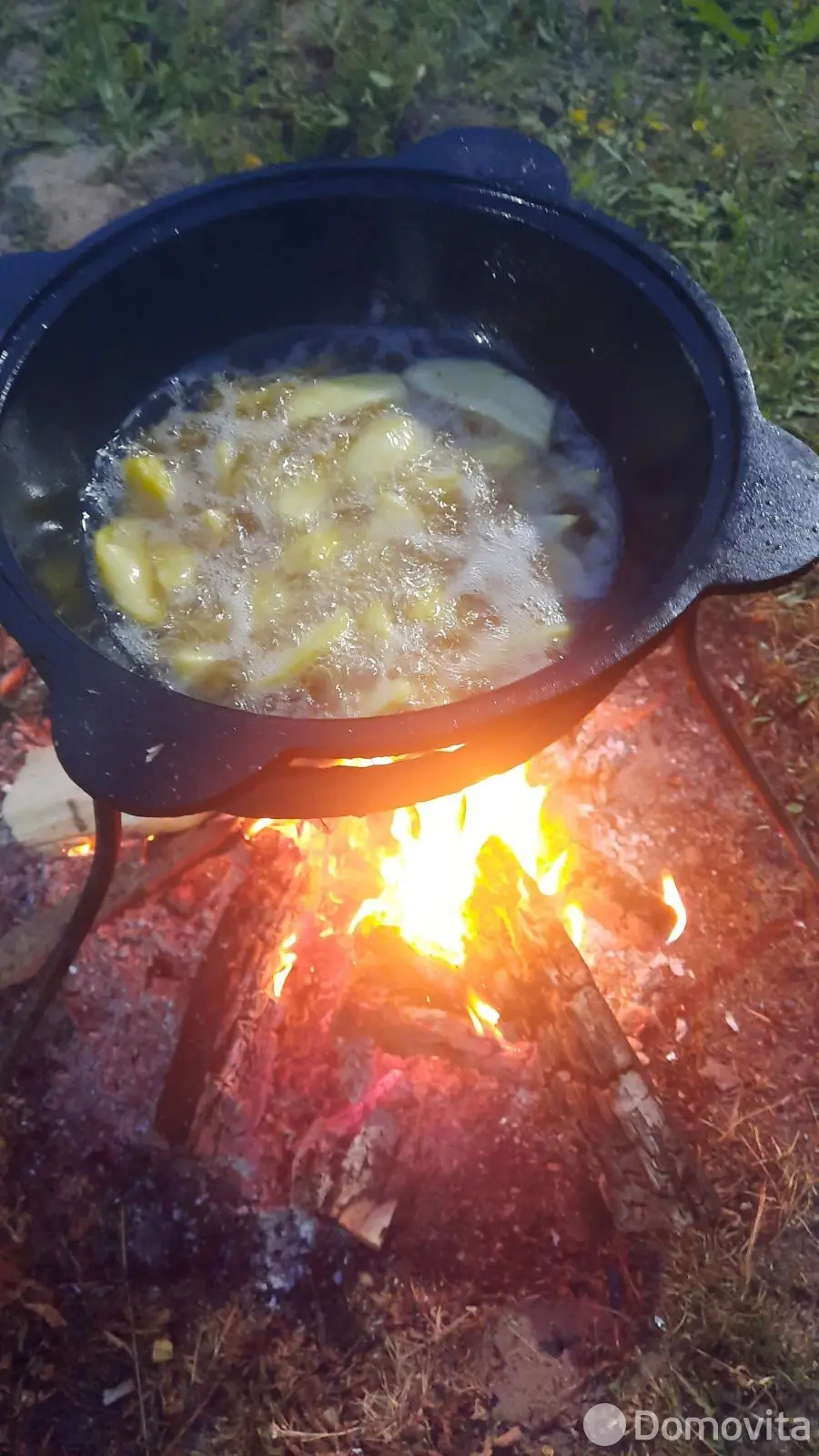 дача, Тюльпан, 