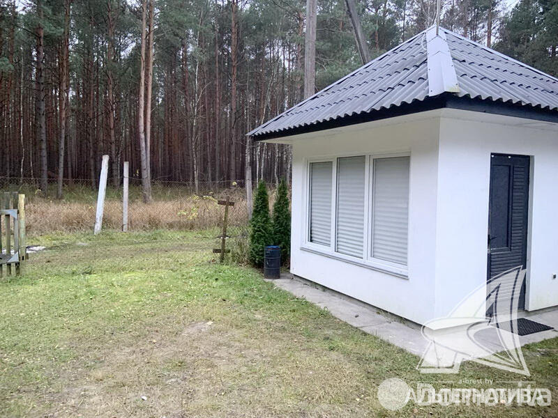 Купить 1-этажную дачу в Журавинка Брестская область, 29900USD, код 180636 - фото 13
