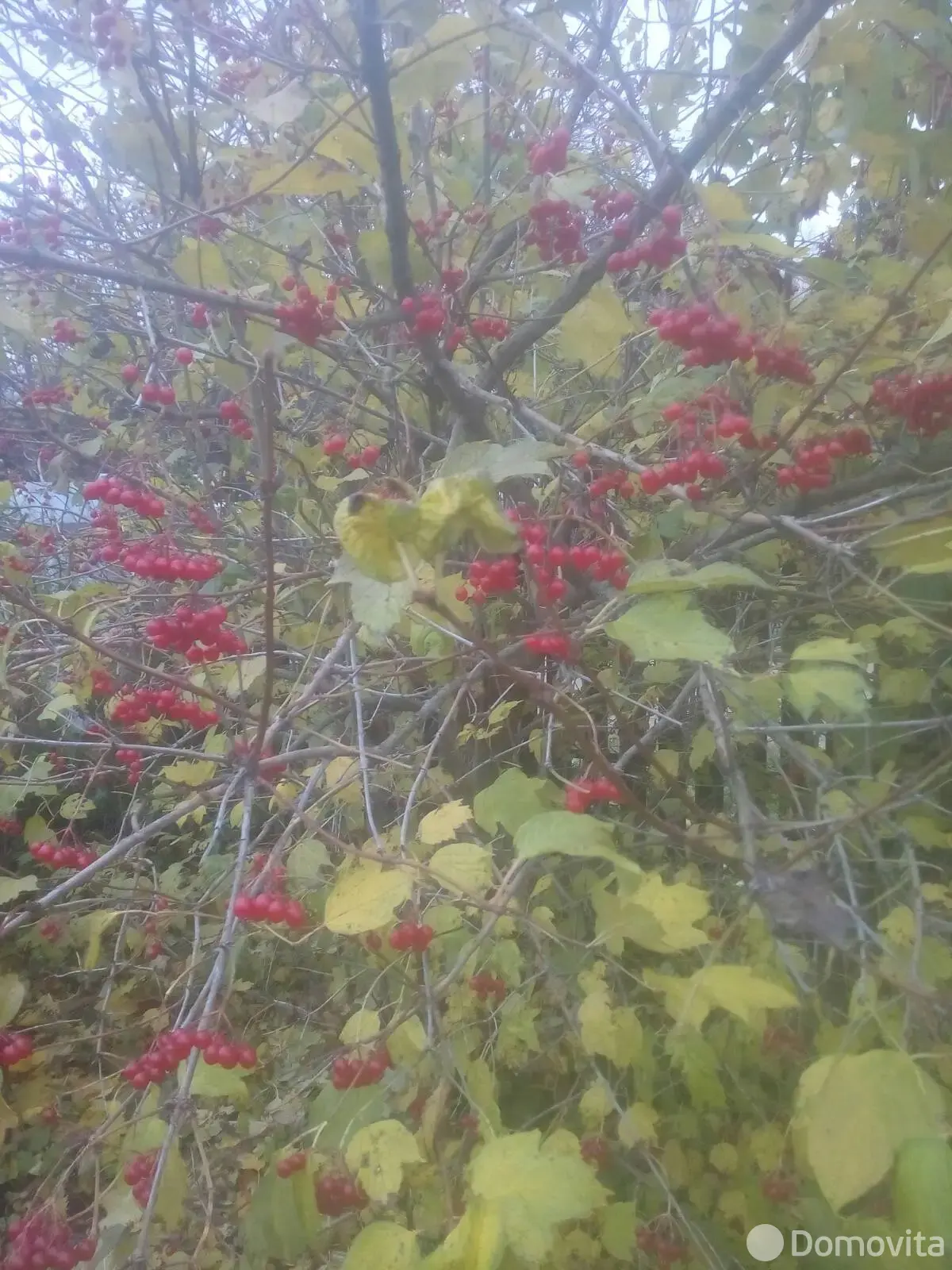 Купить 2-этажную дачу в Лада Могилевская область, 54000BYN, код 185046 - фото 19