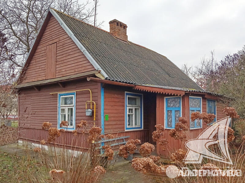 Продажа 1-этажного дома в Жабинке, Брестская область , 11000USD, код 629727 - фото 1