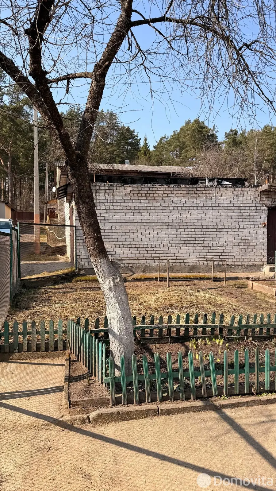 дача, Ждановичи,