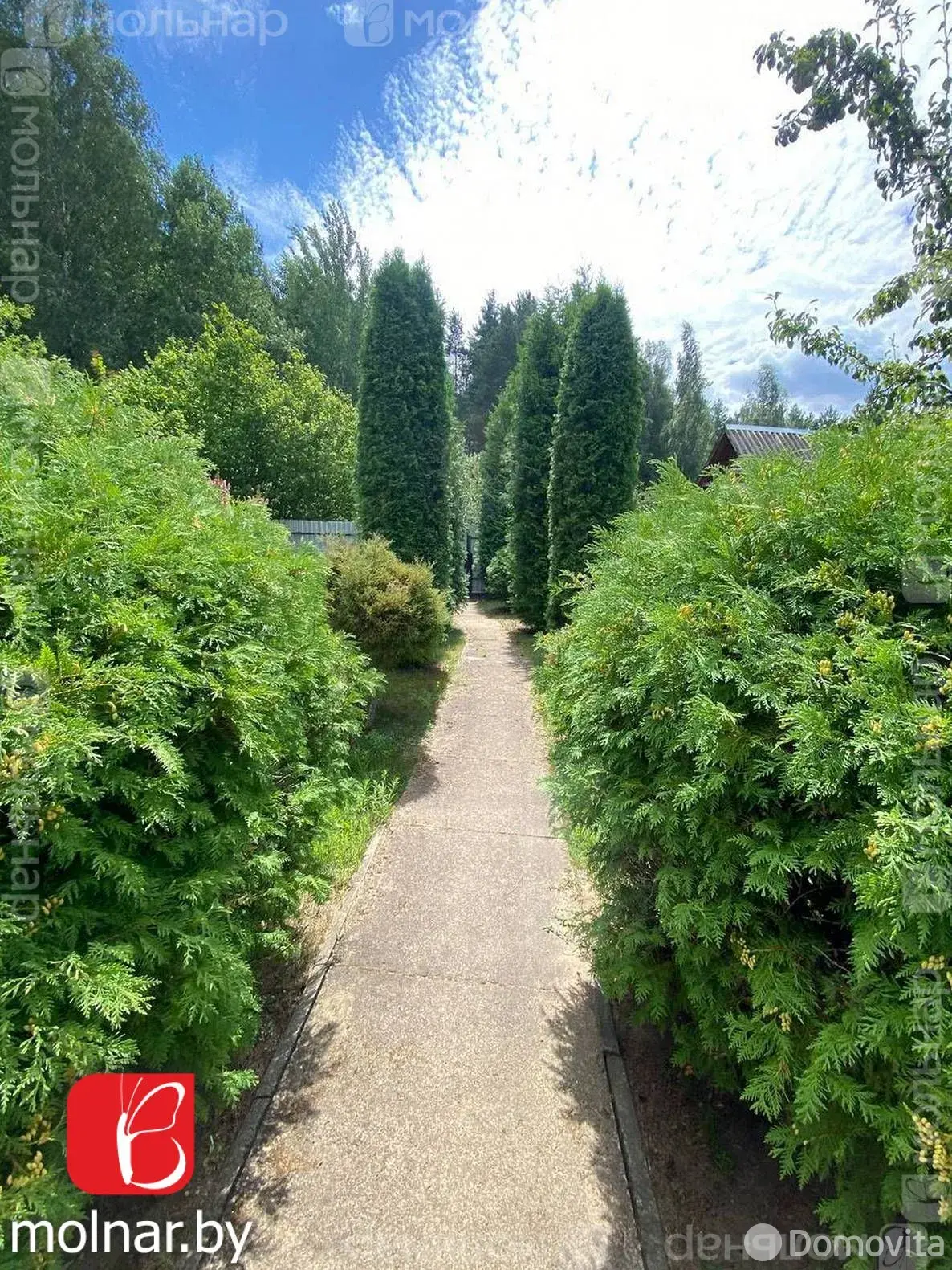 Продажа 2-этажной дачи в Сымончицы-1 Минская область, 35000USD, код 183881 - фото 20