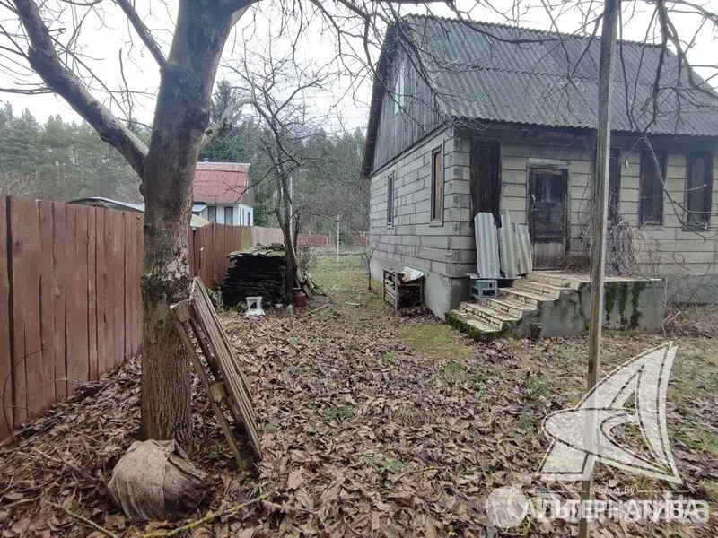 Купить 1-этажную дачу в Чернинский Родничок Брестская область, 14900USD, код 184251 - фото 6