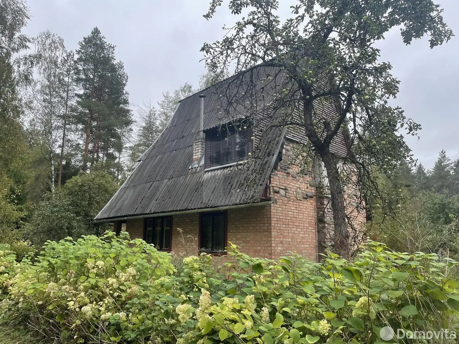 дача, Аэрофлот, 