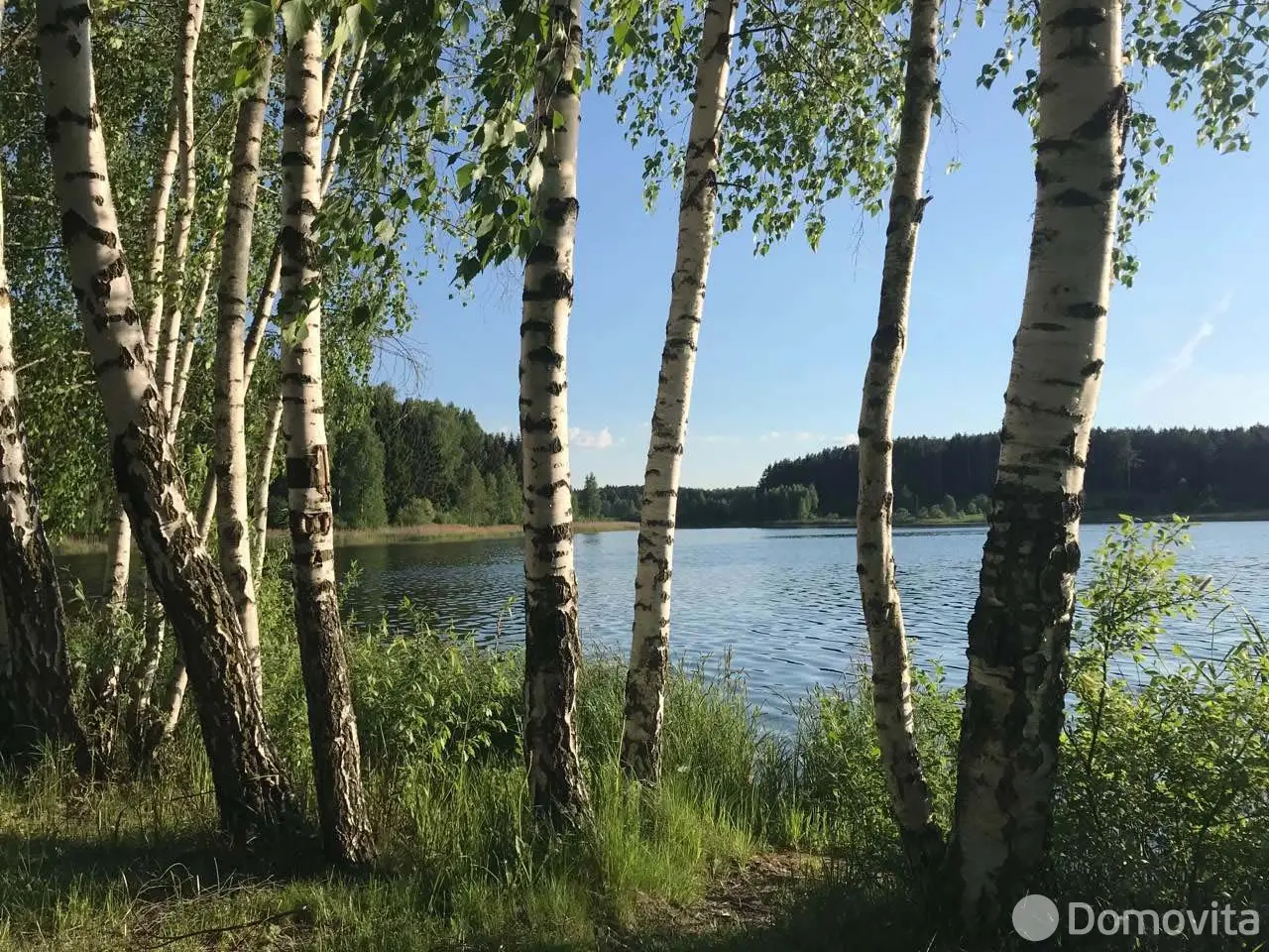 Снять 2-этажный коттедж в Боровинка, Могилевская область, , 1000USD, код 4659 - фото 18