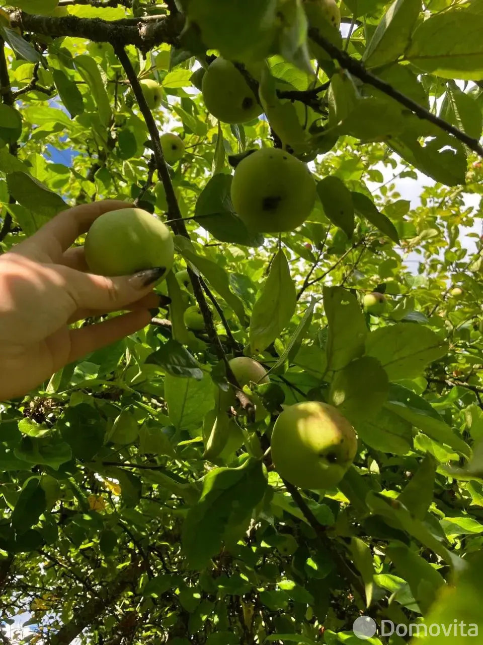 купить дачу, Чеботари, 